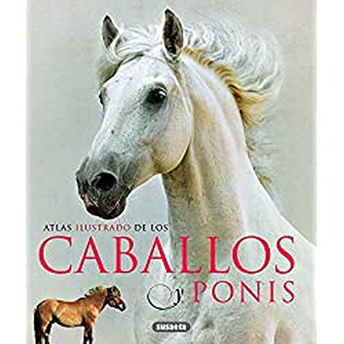 Atlas Ilustrado De Los Caballos Y Ponys