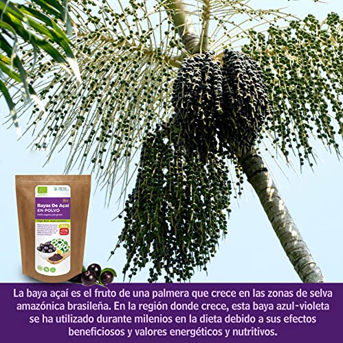 Bayas De Acai En Polvo Orgánico 70g + 10g EXTRA – Bayas Acai Congelado BIO (Freeze – Dried/Liofilizadas) – Acai Berry Extracto Crudo De La Pulpa – Acai Organico Cultivado en Brasil De Detox Organica