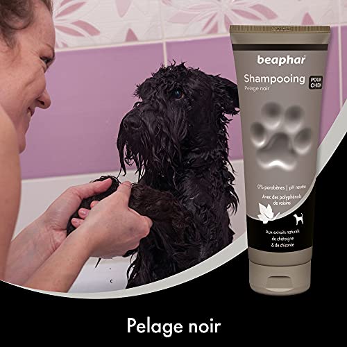 Beaphar Champú Alta Cosmética Perros Pelo Negro u Oscuro, Un tamaño 250 ml 250 ml