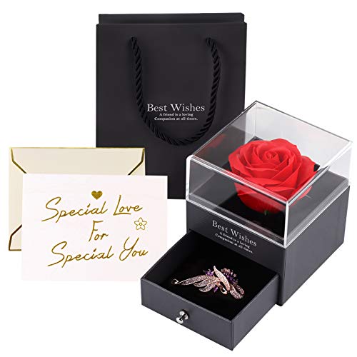 Becoyou Rosa Eterna Caja de Joyería, Broche de Regalo, Rosa Artificiales Regalo de Cumpleaños Perfecto,Regalo Romántico para el Día de San Valentín,Cumpleaños,Día de la Madre,Aniversario