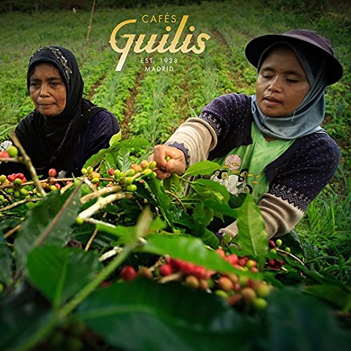 CAFES GUILIS DESDE 1928 AMANTES DEL CAFE Café Molido Natural Black Blend de Tueste Natural - Pack 3 Latas 250 gr