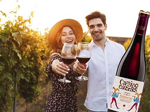CAMINO DE CABRAS Estuche de vino - Mencía Crianza - vino tinto – D.O. Valdeorras – Producto Gourmet - Vino para regalar - Vino Premium - 1 botella x 750 ml.