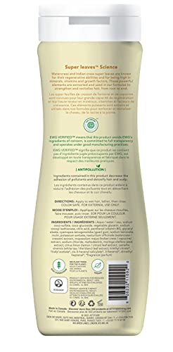 Champú natural para cabello opaco y graso: EWG Verified™, hipoalergénico y dermatólogo probado - Super hojas aclarantes (16 oz)