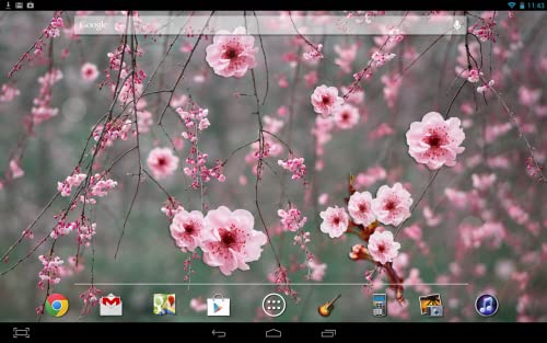 Cherry Blossom LWP