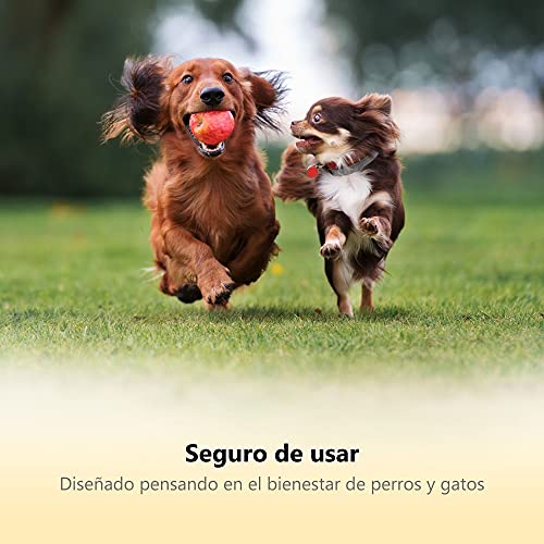 Cortauñas Profesional de Thunderpaws Para Perros con Protector, Cierre de Seguridad y Lima de Uñas - Apto Para Razas Medianas y Grandes