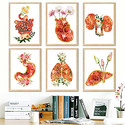 DASHBIG Cuadros decoraciónCorazón Pulmón Flor Órgano Anatomía Humana Arte de la Pared Pintura en Lienzo Carteles nórdicos e Impresiones Imágenes de Pared para médicos de Oficina | 30x42cmx6Sin Marco