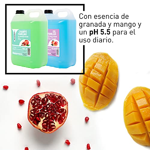 Desmabel Gel Familiar con Esencia de Mango, Gel Garrafa de Baño y Ducha, Ph 5.5, Uso Diario.Gel para Toda la Familia, Gel Manos, Formulación Suave, 5000 Ml