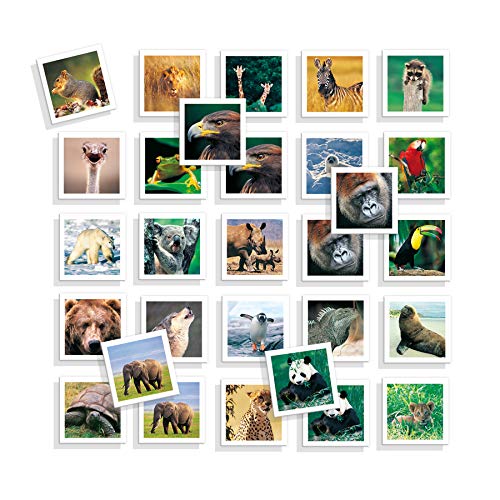 Diset - Memo Photo Animals, Juego educativo de memoria visual para niños a partir de 3 años