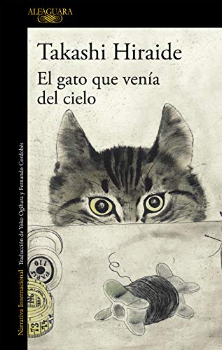 El gato que venía del cielo