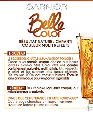 Garnier Belle Color C6063174 Les Castains Eclat 6.41