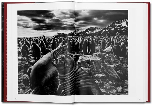 Génesis. Sebastião Salgado [Edición Roughcut]