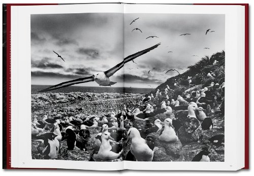 Génesis. Sebastião Salgado [Edición Roughcut]