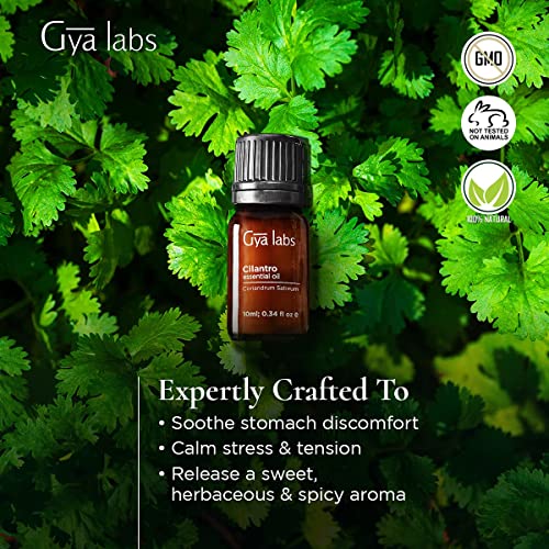 Gya Labs Aceite esencial de cilantro para aliviar el estrés, tópico para aliviar las molestias estomacales, 100 aceite de cilantro puro y natural de grado terapéutico para aromaterapia, 10 ml