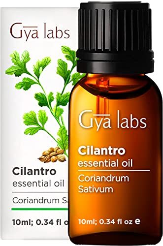Gya Labs Aceite esencial de cilantro para aliviar el estrés, tópico para aliviar las molestias estomacales, 100 aceite de cilantro puro y natural de grado terapéutico para aromaterapia, 10 ml