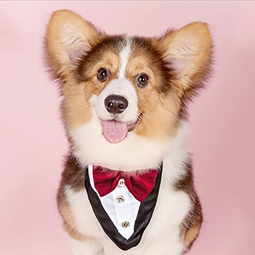 HACRAHO Collar de esmoquin para perro, 1 pieza formal de esmoquin para perro, pañuelo con pajarita ajustable para mascotas, para bodas, fiestas, perros, gatos, color rojo