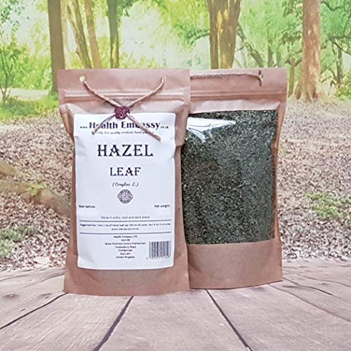 Health Embassy Avellanos Hoja (Corylus L) / Hazel Leaf, 100g