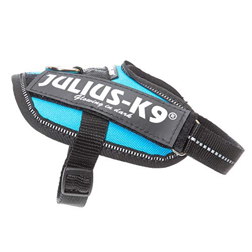 JULIUS-K9 16IDC Power Harness