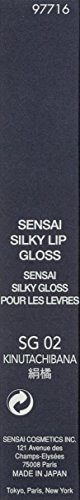 Kanebo Silky Lip Gloss Brillo de Labios Tono 02-6.8 ml