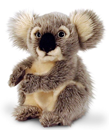 Keel Toys Ours en peluche koala – Peluche assis env. 28 cm