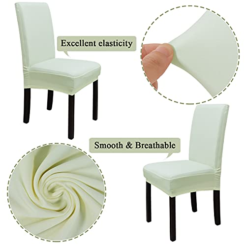 Leeyunbee 6 Piezas Fundas de Sillas de Comedor, Elásticas y Modernas Funda Asiento Silla, Desmontables Lavables Cubiertas para Sillas para Comedor Hotel Banquete de Boda Decoración (Beige)