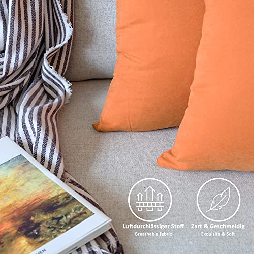 Lionmood ® Juego de 2 Fundas de cojín Monocolor | Piel de melocotón Fina | 45 x 45 cm | Terciopelo | Decorativa | Funda de cojín de sofá (13 Naranjas)