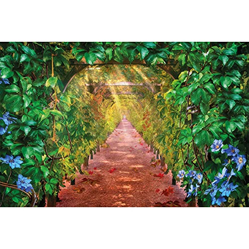 lovedomi 7x5ft Grapevine Alley Vineyard Green Tunnel Nature Avenue Planta Ilustración Fotografía Photo Studio Booth Vacaciones Familiares Fiesta para Estudio fotográfico Material Vinilo