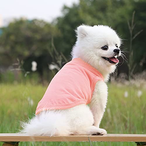 Mosucolera Camiseta De Chaleco De Perro,Camisa De Mascotas Sudaderas Capucha Camisa Top Cachorros Ropa por Pequeña Gatos Perros Medios Osito Peluche Chihuahua Yorkie Gatos