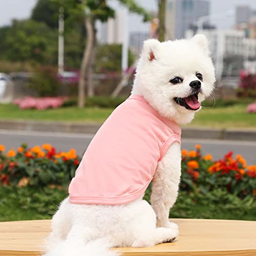 Mosucolera Camiseta De Chaleco De Perro,Camisa De Mascotas Sudaderas Capucha Camisa Top Cachorros Ropa por Pequeña Gatos Perros Medios Osito Peluche Chihuahua Yorkie Gatos