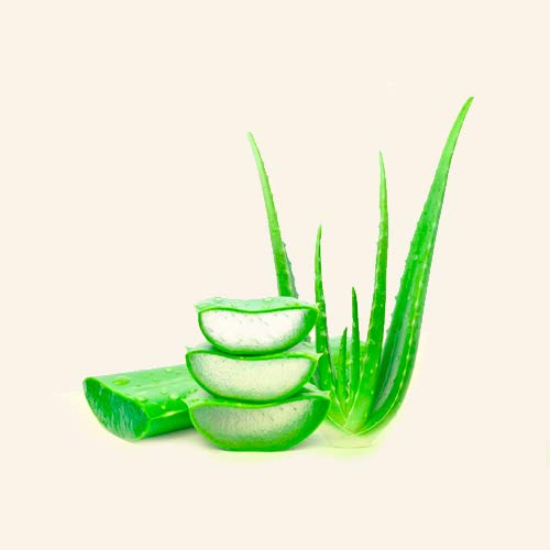 muum - Mascarilla Aloe Vera Nutritiva. Hidratación intensa, y extremadamente regeneradora. Cabello más fuerte, sedoso y brillante - 1000 ml.