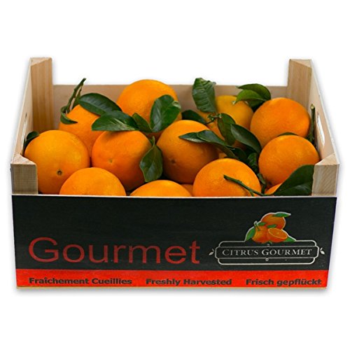 Naranjas Gourmet de Valencia Zumo 20 Kg por 21,49 €