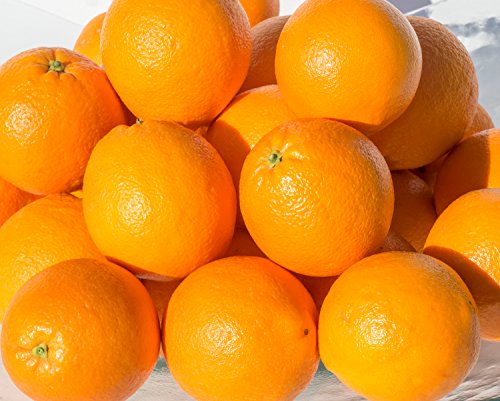 Naranjas maduras para zumo, 20kg con la dulzura apropiada.