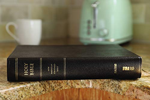 NASB, Zondervan NASB Study Bible, Bonded Leather, Black, Thumb Indexed