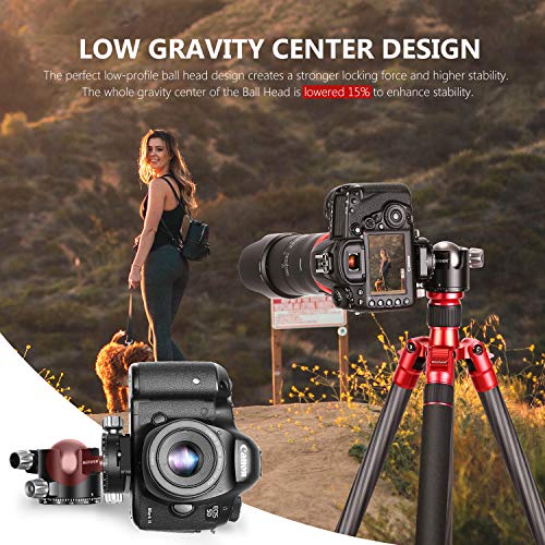 Neewer 44mm Cabezal Bola Bajo Perfil Cabezal Trípode Cámara Panorámica con Placa QR 360° y Abrazadera CNC Metal Doble Muesca en U para Cámaras DSLR Trípodes Monopie Carga 25kg Modo Vertical/Horizontal