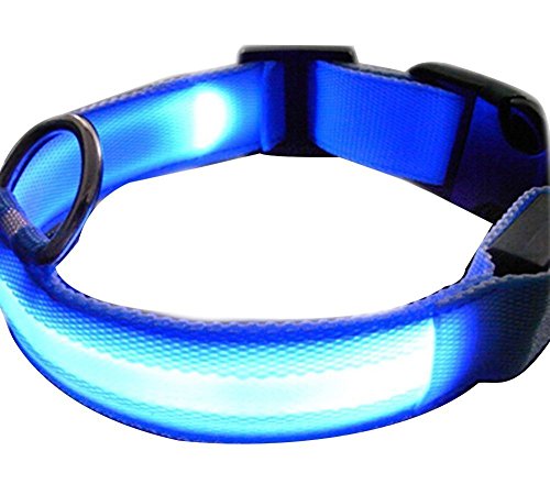 NEO+ Collare LED per Cane USB Ricaricabile, Lampeggiante, visibilità (Grande Blu)