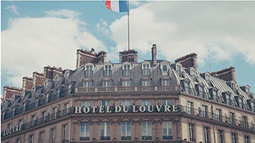 NOBRAND Rompecabezas De 1000 Piezas París Francia Hotel Hotel Du Louvre para Adultos Adultos Hobby Decoración del Hogar Bricolaje