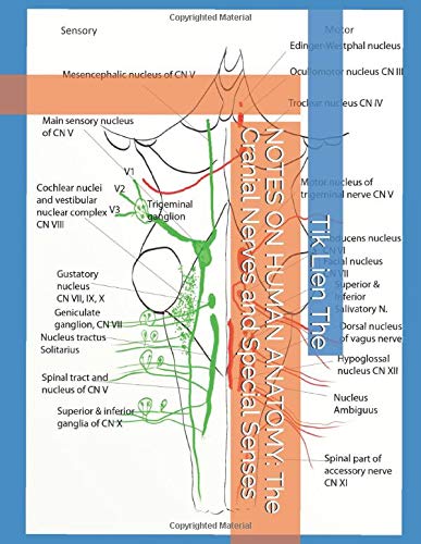 NOTES ON HUMAN ANATOMY: The Cranial Nerves and Special Senses