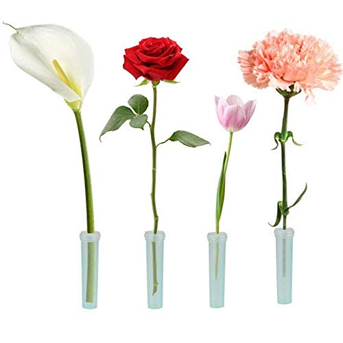 Nuluxi Flores Tubos de Agua de Plástico Transparentes Floristería Flor Contenedor De Agua Tubo De Flores Suministros Florales para Flores, Floristería, Arreglos Florales y Plantas Hidropónicas (7cm)