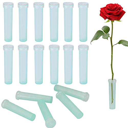 Nuluxi Flores Tubos de Agua de Plástico Transparentes Floristería Flor Contenedor De Agua Tubo De Flores Suministros Florales para Flores, Floristería, Arreglos Florales y Plantas Hidropónicas (7cm)