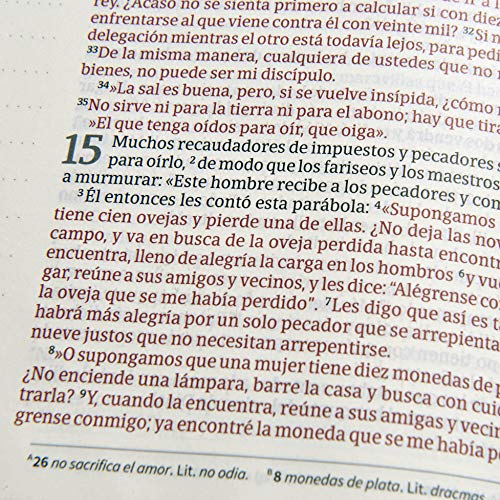 NVI Biblia de Apuntes, azulejos color salvia, símil piel: Nueva Version Internacional Biblia de apuntes, azulejos color salvia, símil piel / New ... Bible Sage Tiles, imitation leather, Journal