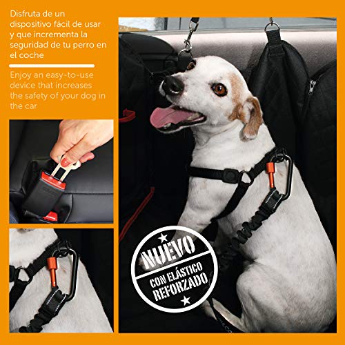 PET & CAR Cinturón de Seguridad Extensible para arnés de Perro. Previene Lesiones de Mascota pequeña en Coche por su Correa elástica, mosquetón Resistente y Ligero con Cierre de Seguridad (XS - S)