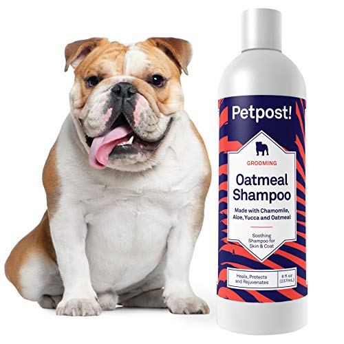 Petpost | Champú De Avena Y Manzanilla para Perros con Piel Seca: Cura, Protege Y Rejuvenece De Forma Natural La Piel Y El Pelaje De Los Perros: Fórmula De Avena, Manzanilla, Aloe Y Yuca (237 ml)