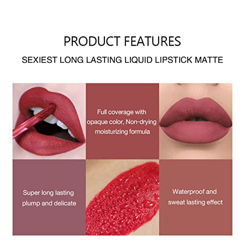 Pintalabios Mate de Larga Duración, Liquid Lip Colour Labial Líquido, Líquido Pintalabios Traje, Pintalabios Mate Liquido Lápiz Labial Pintalabios Impermeable Kit, Labiales Mate Larga Duracion (01)