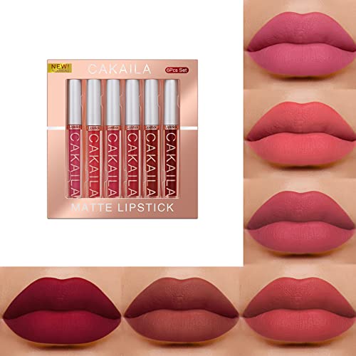 Pintalabios Mate de Larga Duración, Liquid Lip Colour Labial Líquido, Líquido Pintalabios Traje, Pintalabios Mate Liquido Lápiz Labial Pintalabios Impermeable Kit, Labiales Mate Larga Duracion (01)