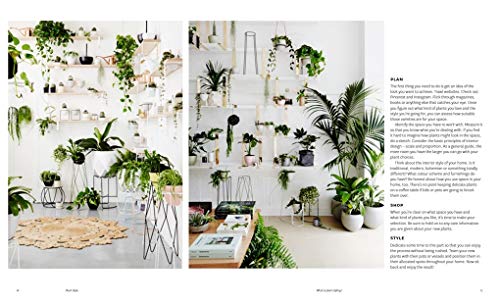 Plant Style: How to greenify your space