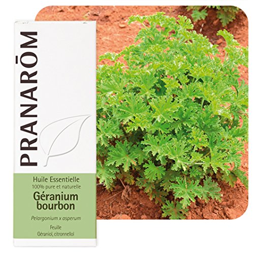 Pranarom Esen. Geranio Bourbon 10Ml Pranarom 20 g