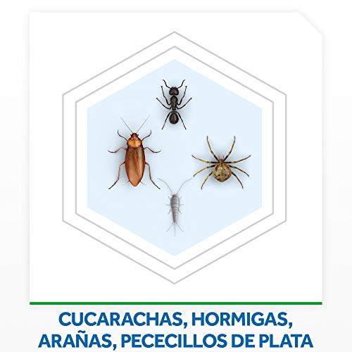 Raid ® Spray Insecticida - Aerosol para cucarachas y hormigas. Protege durante 4 semanas. Acción fulminante, en apenas segundos. Unidad, 400ml