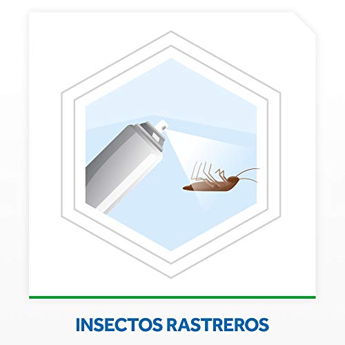 Raid ® Spray Insecticida - Aerosol para cucarachas y hormigas. Protege durante 4 semanas. Acción fulminante, en apenas segundos. Unidad, 400ml
