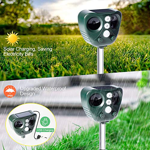 Repelente Gatos Repelente de Animales Ultrasónico de Energía Solar Ahuyentador de Animales Repelente para Gatos Jardin Exterior Carga Solar y USB para Alejar Ratones, Perros, Pájaros, Zorros (Verde)