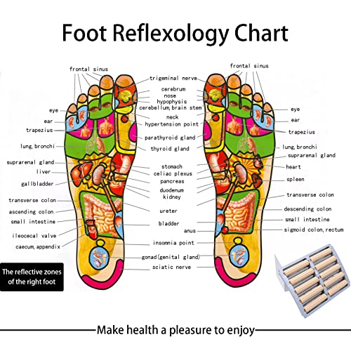 Rodillo de fascitis plantar Masajeador de doble pie Rodillo-Sura Espolón de los pies Arco Dolor Aliviar la Fasciitis Plantar Saludable Relajar Herramienta de Plástico Cuidado Masaje