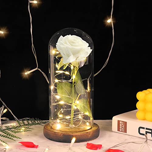 Rosa Eterna, MOOKLIN ROAM Bella y la Bestia Rosa de Seda y luz LED con Cúpula de Cristal y Base de Madera, Regalo Sorpresa para Día de San Valentín Día de la Madre Cumpleaños Aniversario Boda - Blanco